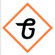 Graphix Garage logo